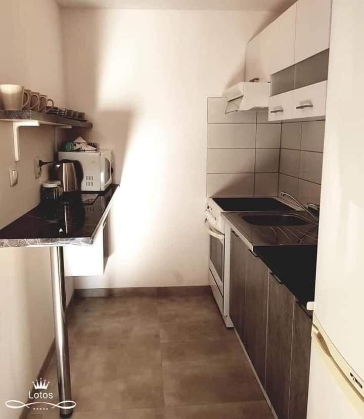 Apartament Lotos Zator Exterior foto